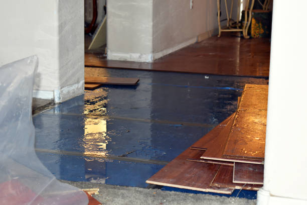 Professional Water Damage Restoration technician working in Lillian, TX
